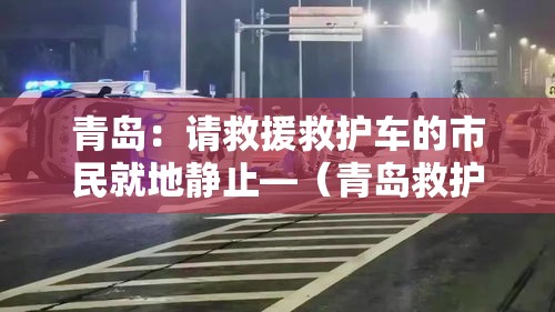 青岛:请救援救护车的市民就地静止—(青岛救护车接送) 青岛:请救援救护车的市民就地静止—(青岛救护车接送)
