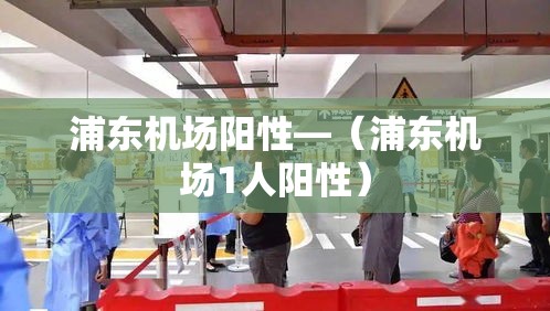 浦东机场阳性—(浦东机场1人阳性) 浦东机场阳性—(浦东机场1人阳性)