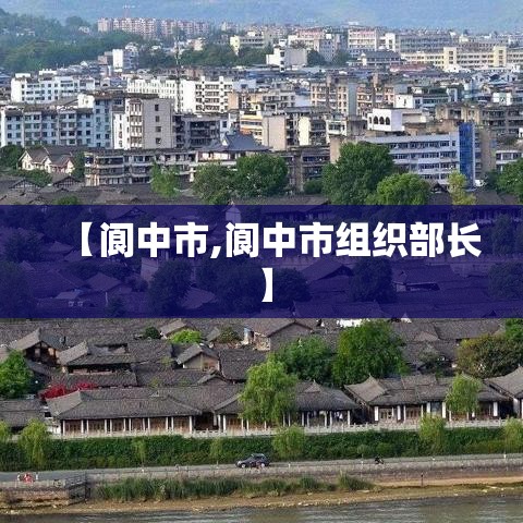 【阆中市,阆中市组织部长】