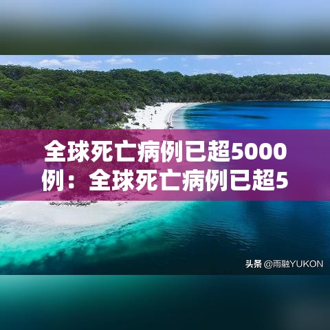 全球死亡病例已超5000例:全球死亡病例已超5000例了吗 全球死亡病例已超5000例:全球死亡病例已超5000例了吗