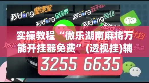 实操教程“微乐湖南麻将万能开挂器免费”(透视挂)辅助透视教程