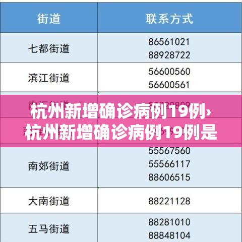 杭州新增确诊病例19例›杭州新增确诊病例19例是哪里的