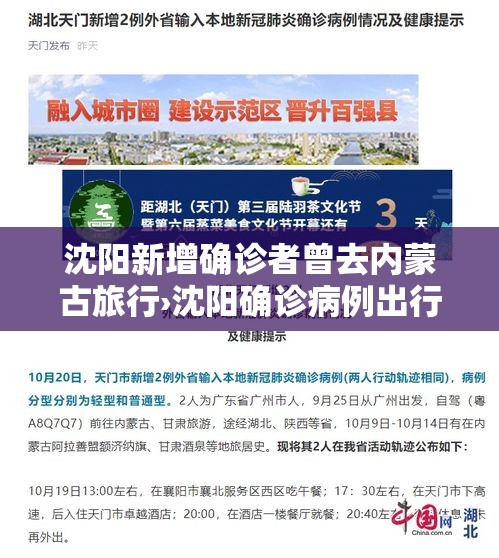 沈阳新增确诊者曾去内蒙古旅行›沈阳确诊病例出行轨迹
