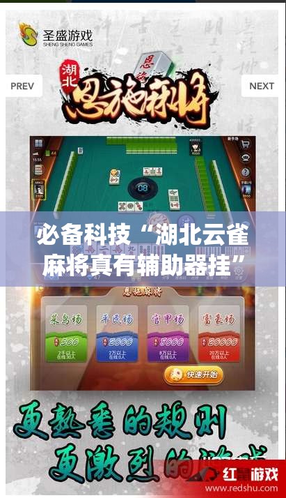 必备科技“湖北云雀麻将真有辅助器挂	”(透视挂)辅助透视教程