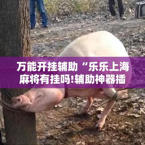万能开挂辅助“乐乐上海麻将有挂吗!辅助神器插件下载 万能开挂辅助“乐乐上海麻将有挂吗!辅助神器插件下载