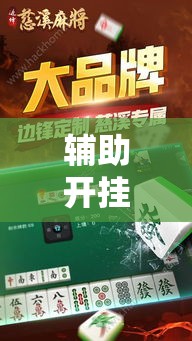辅助开挂神器“边锋陕西麻将开挂视频教程”透视开挂辅助教程