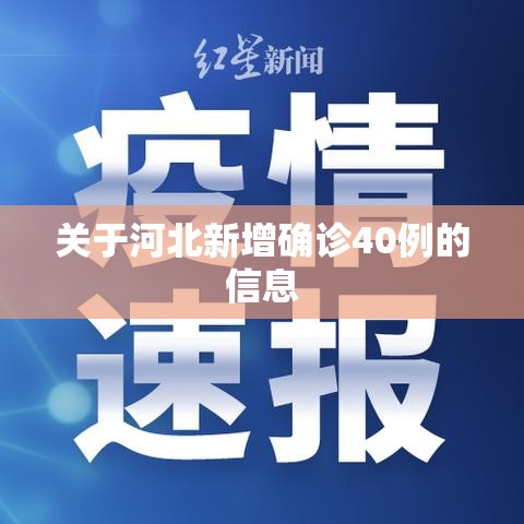 关于河北新增确诊40例的信息 关于河北新增确诊40例的信息