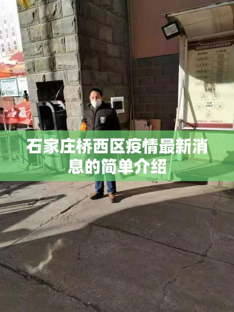 石家庄桥西区疫情最新消息的简单介绍