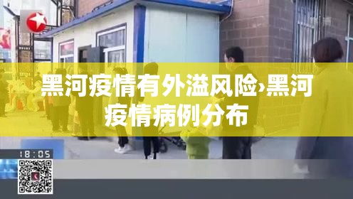黑河疫情有外溢风险›黑河疫情病例分布 黑河疫情有外溢风险›黑河疫情病例分布