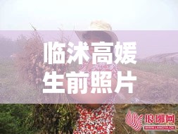 临沭高媛生前照片:临沭高媛男友是谁 临沭高媛生前照片:临沭高媛男友是谁