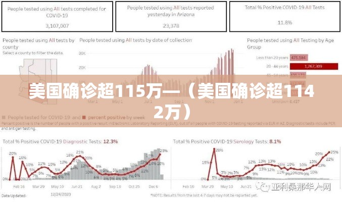 美国确诊超115万—(美国确诊超1142万) 美国确诊超115万—(美国确诊超1142万)