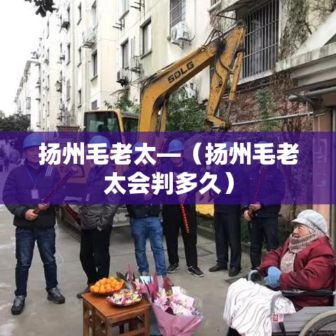 扬州毛老太—(扬州毛老太会判多久) 扬州毛老太—(扬州毛老太会判多久)