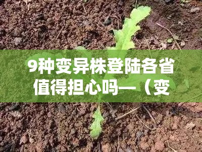 9种变异株登陆各省值得担心吗—(变异株的危害) 9种变异株登陆各省值得担心吗—(变异株的危害)