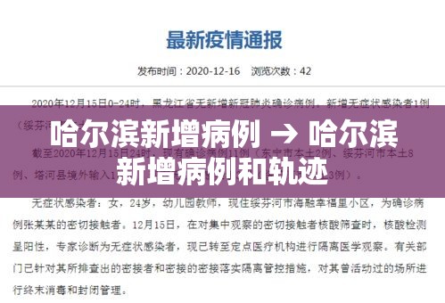 哈尔滨新增病例 → 哈尔滨新增病例和轨迹 哈尔滨新增病例 → 哈尔滨新增病例和轨迹