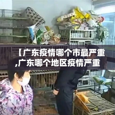 【广东疫情哪个市最严重,广东哪个地区疫情严重】