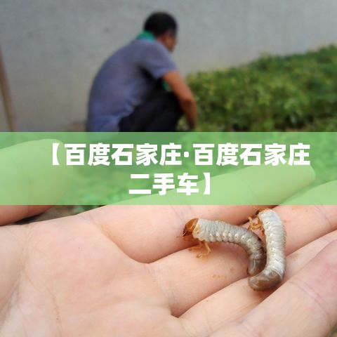 【百度石家庄·百度石家庄二手车】 【百度石家庄·百度石家庄二手车】