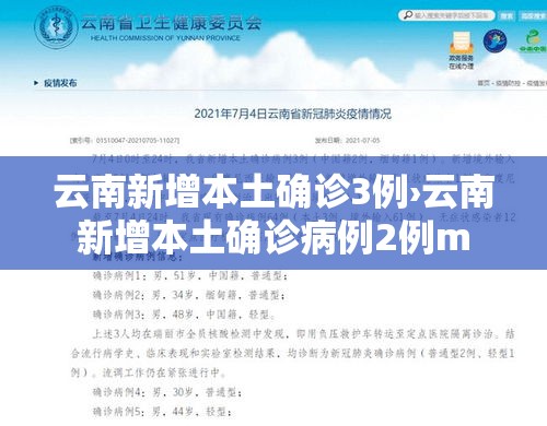 云南新增本土确诊3例›云南新增本土确诊病例2例m