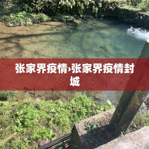 张家界疫情›张家界疫情封城
