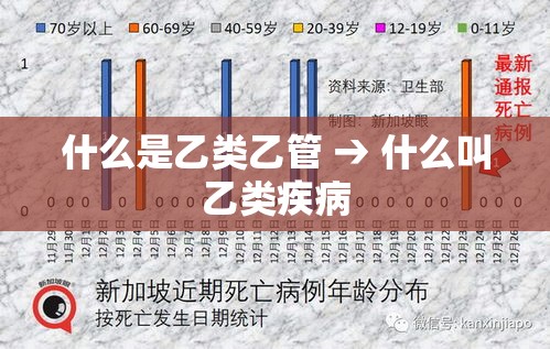 什么是乙类乙管 → 什么叫乙类疾病 什么是乙类乙管 → 什么叫乙类疾病