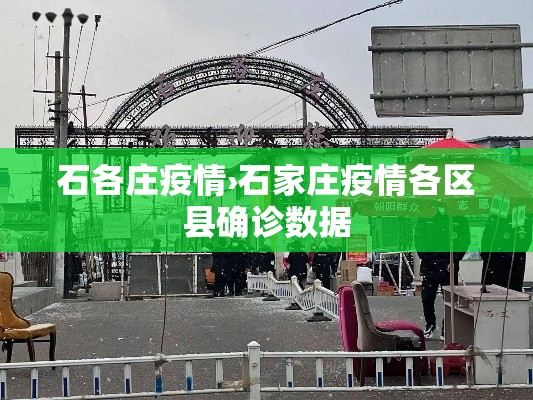 石各庄疫情›石家庄疫情各区县确诊数据 石各庄疫情›石家庄疫情各区县确诊数据