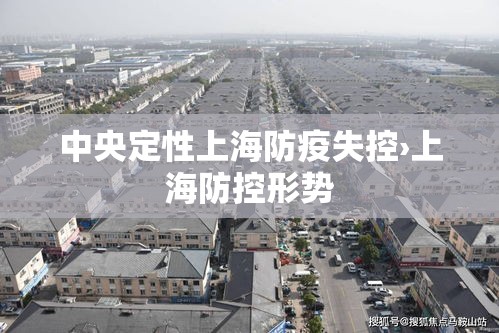 中央定性上海防疫失控›上海防控形势