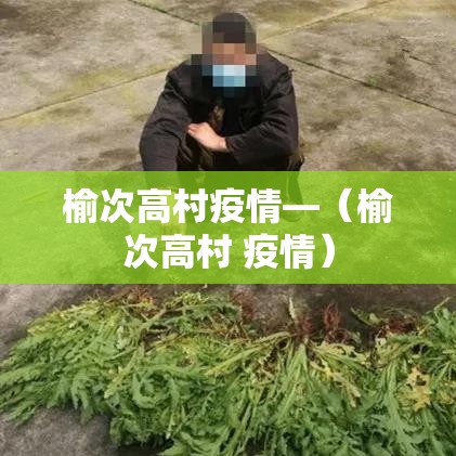 榆次高村疫情—（榆次高村 疫情）