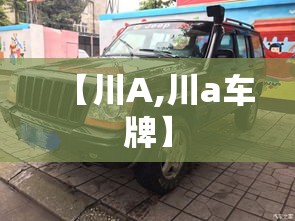 【川A,川a车牌】