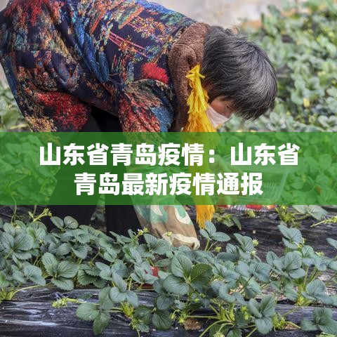 山东省青岛疫情:山东省青岛最新疫情通报 山东省青岛疫情:山东省青岛最新疫情通报