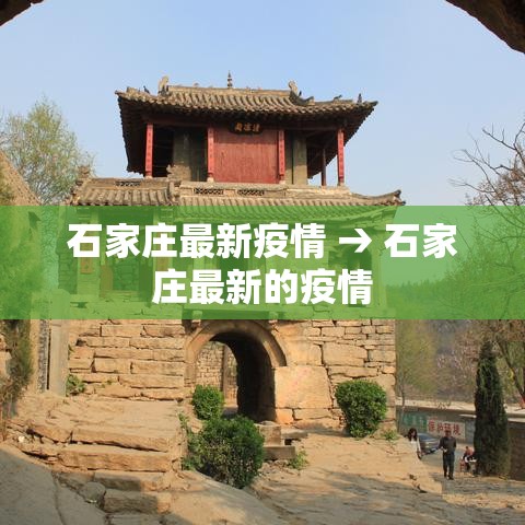 石家庄最新疫情 → 石家庄最新的疫情