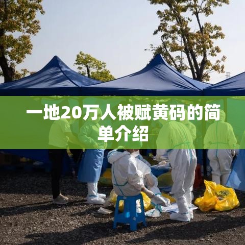 一地20万人被赋黄码的简单介绍 一地20万人被赋黄码的简单介绍