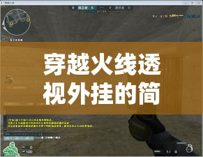 穿越火线透视外挂的简单介绍