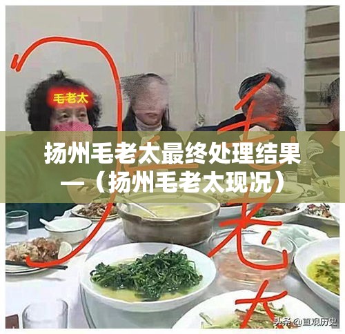 扬州毛老太最终处理结果—（扬州毛老太现况）