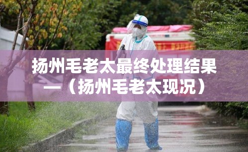 扬州毛老太最终处理结果—（扬州毛老太现况）