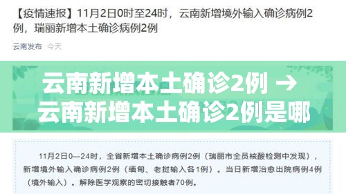 云南新增本土确诊2例 → 云南新增本土确诊2例是哪里的
