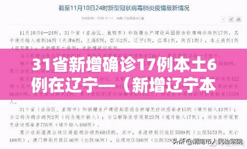 31省新增确诊17例本土6例在辽宁—(新增辽宁本土病例) 31省新增确诊17例本土6例在辽宁—(新增辽宁本土病例)