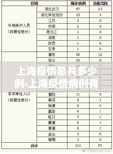 上海疫情总共多少例›上海疫情病例有多少 上海疫情总共多少例›上海疫情病例有多少