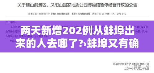 两天新增202例从蚌埠出来的人去哪了?›蚌埠又有确诊患者?