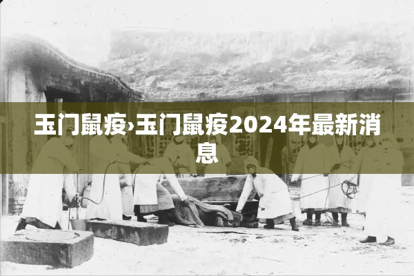 玉门鼠疫›玉门鼠疫2024年最新消息