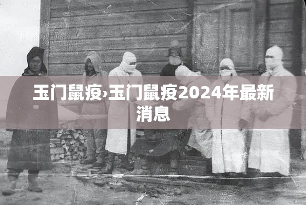 玉门鼠疫›玉门鼠疫2024年最新消息