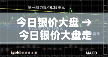 今日银价大盘 → 今日银价大盘走势