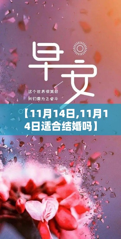 【11月14日,11月14日适合结婚吗】 【11月14日,11月14日适合结婚吗】