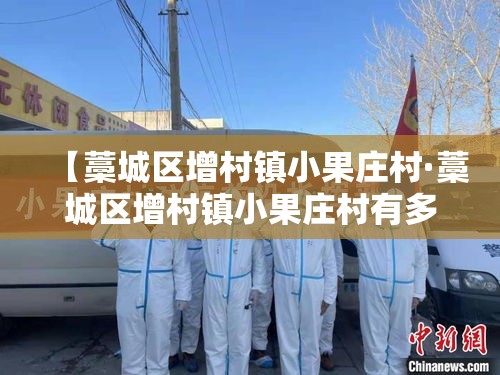 【藁城区增村镇小果庄村·藁城区增村镇小果庄村有多少人】