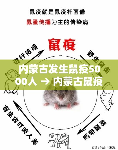 内蒙古发生鼠疫5000人 → 内蒙古鼠疫疫情爆发9000人 内蒙古发生鼠疫5000人 → 内蒙古鼠疫疫情爆发9000人