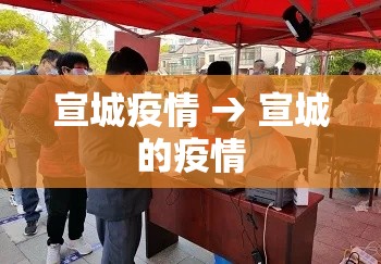 宣城疫情 → 宣城的疫情