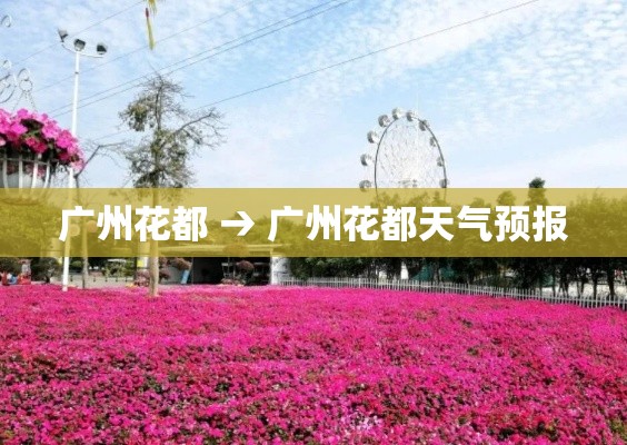 广州花都 → 广州花都天气预报 广州花都 → 广州花都天气预报