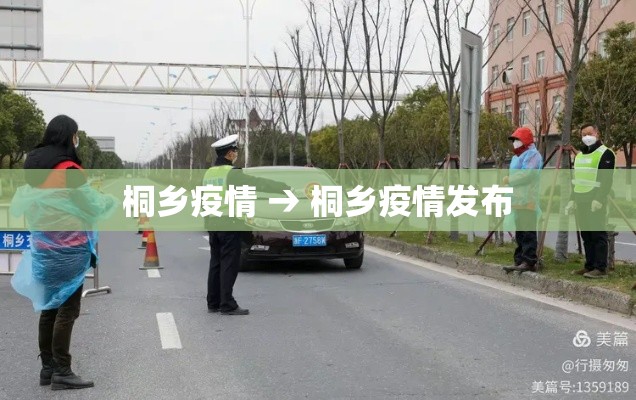 桐乡疫情 → 桐乡疫情发布 桐乡疫情 → 桐乡疫情发布