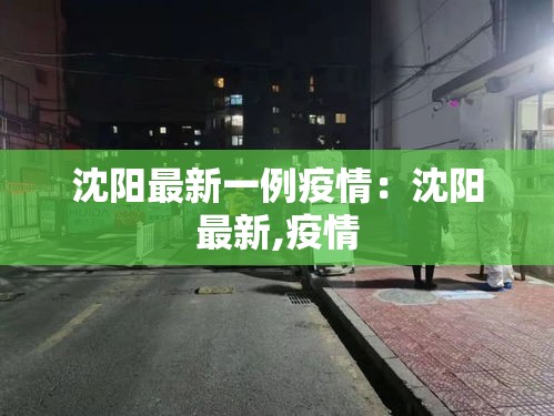 沈阳最新一例疫情：沈阳最新,疫情