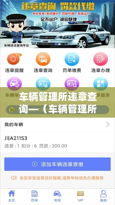 车辆管理所违章查询—（车辆管理所违章查询系统）
