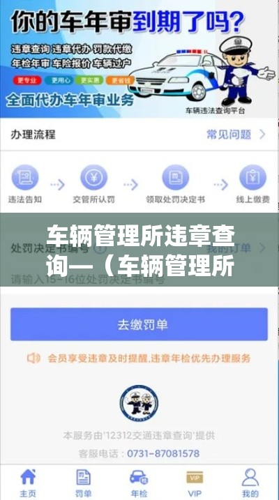 车辆管理所违章查询—（车辆管理所违章查询系统）