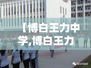 【博白王力中学,博白王力中学是公立还是私立】